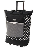 spring2011/rolltoteblkdots.gif